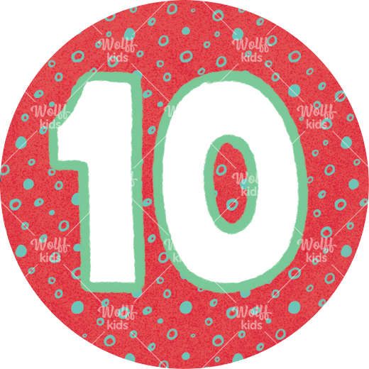 Einzelner Magnet: 10, 4cm
